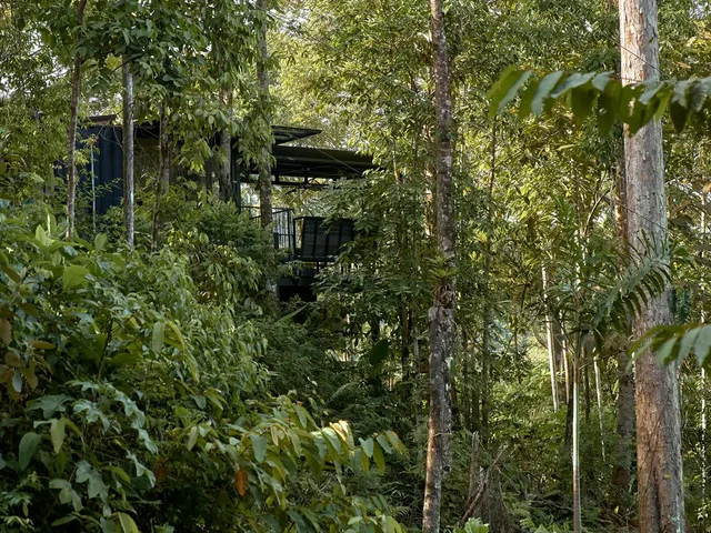 Casa Alba's black steel structure seen through dense jungle foliage