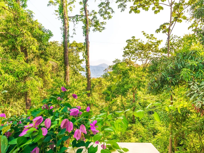 Jungle view villa with indoor gardens in La Reserva, Manuel Antonio